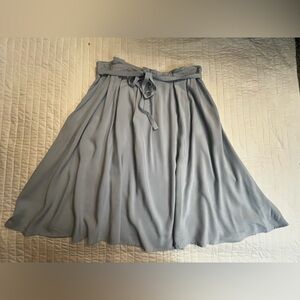 Lark & Ro light blue a line skirt